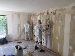 Best Residential Mold Inspection & Testing  in Freeport, TX